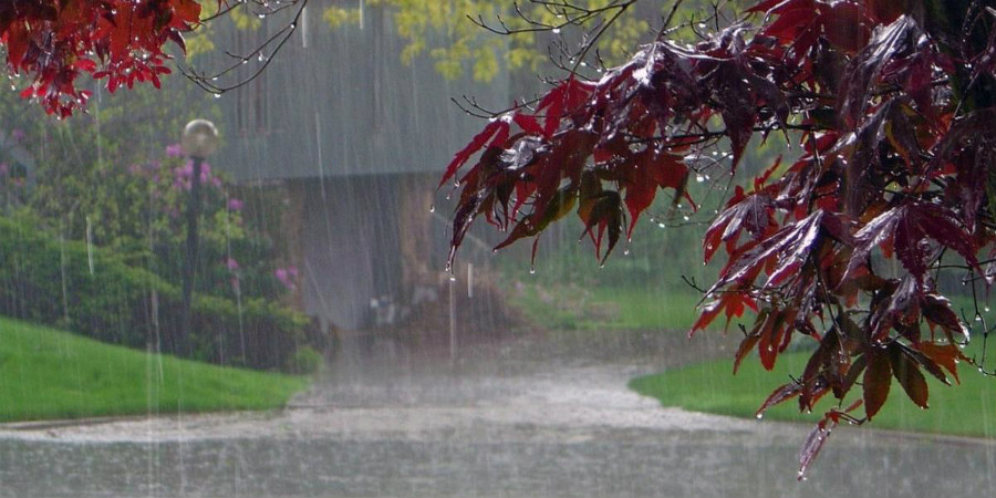 ΚΑΙΡΟΣ: Βγάλτε ομπρέλες και αδιάβροχα - Αισθητή αλλαγή