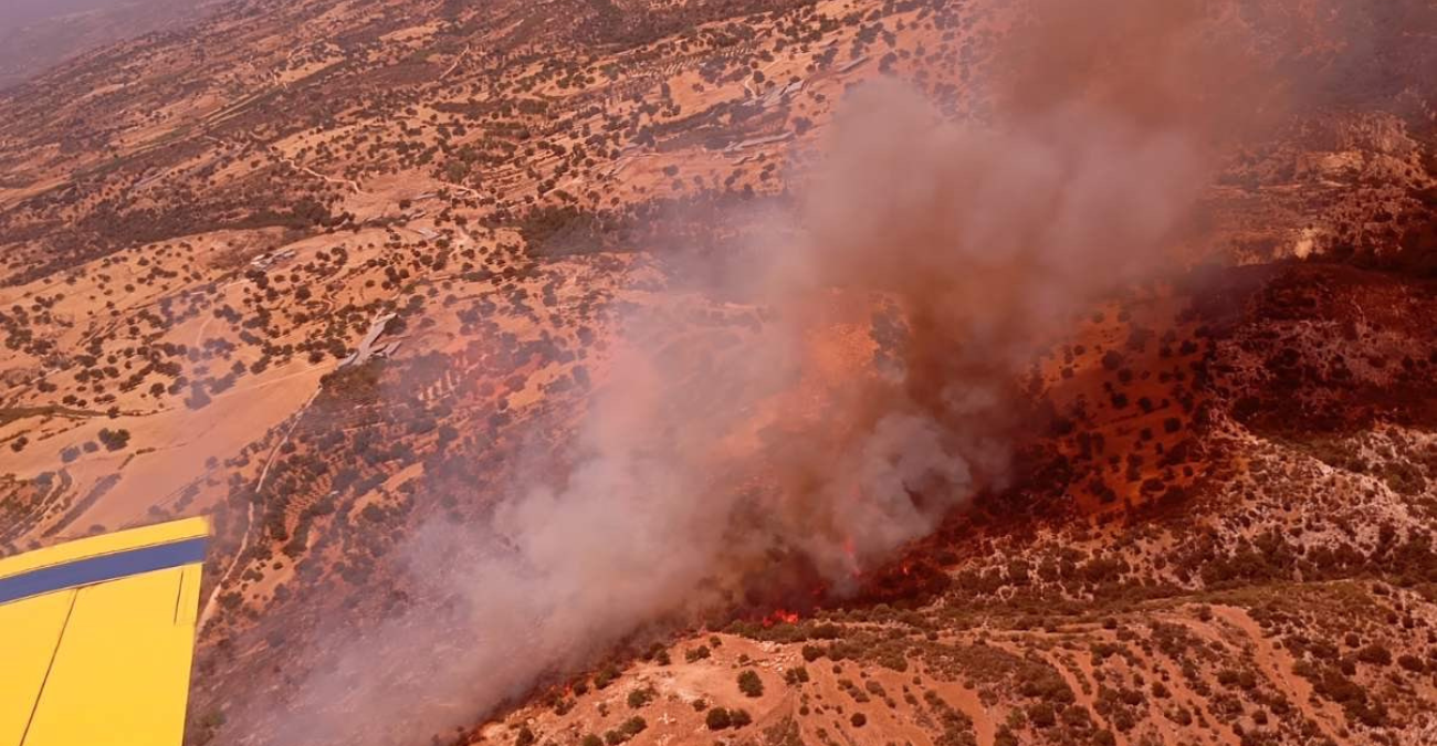 Πυρκαγιά στην Επαρχία Λεμεσού: Διαχειρίσιμη η κατάσταση - Ελέγχεται από τις δυνάμεις πυρόσβεσης 