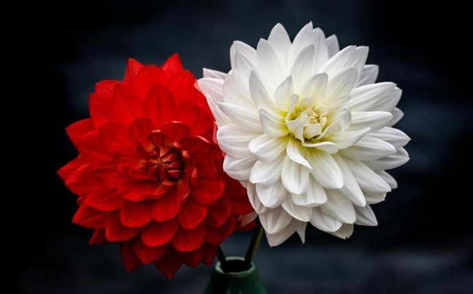 Εορτολόγιο: Ποιοι γιορτάζουν σήμερα, Παρασκευή 27 Φεβρουαρίου – Μην ξεχάσετε να τους ευχηθείτε 