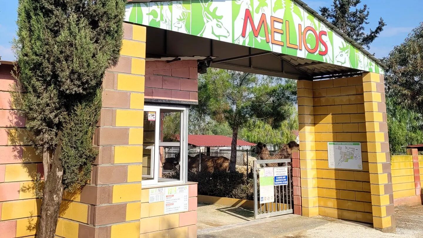Melios Zoo Park: Οριστική «ταφόπλακα» αλλά... παραμένει ανοιχτό - «Συνεχίζει κανονικά όπως συμβαίνει από το 2000» - Δείτε βίντεο