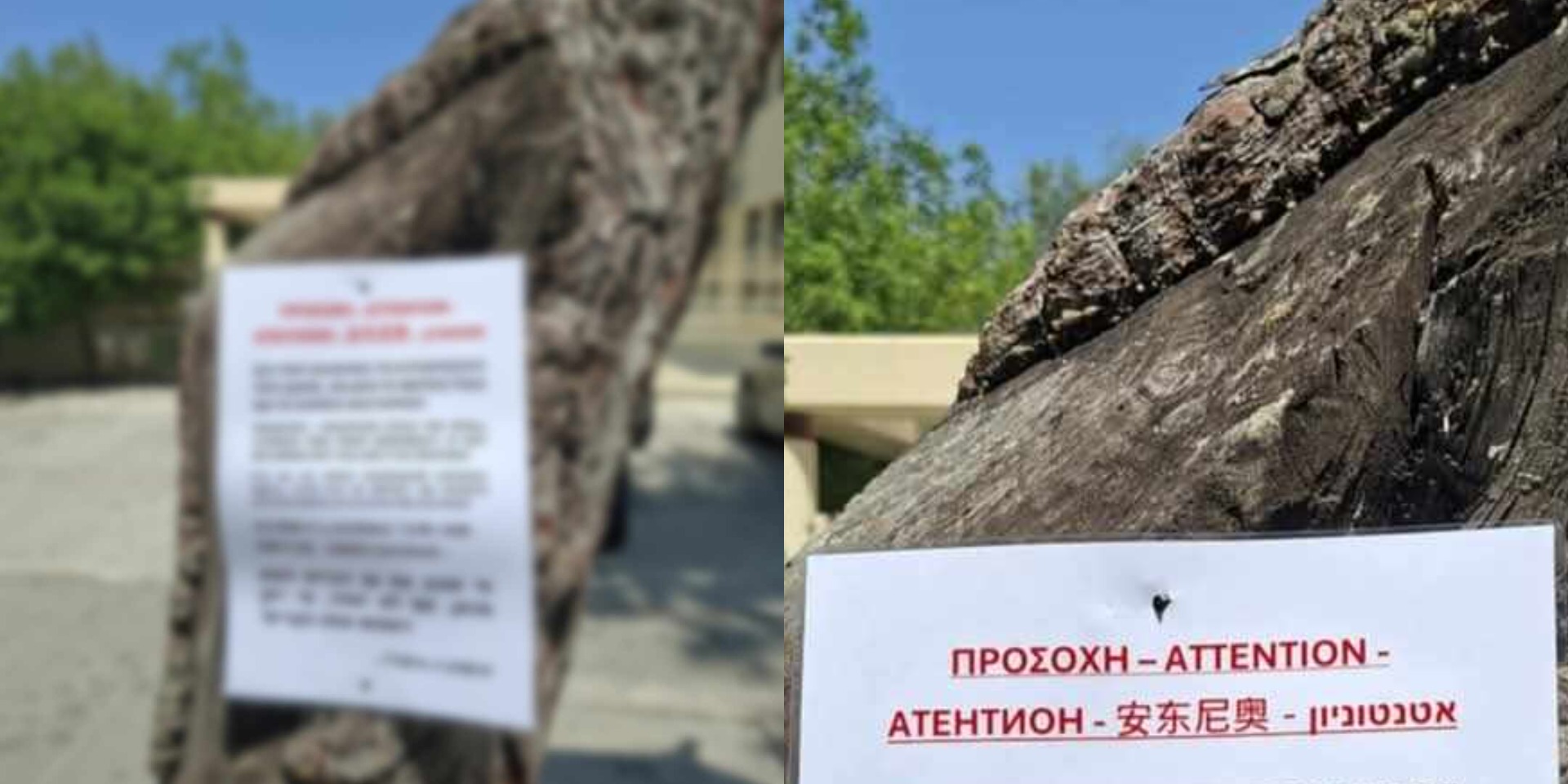 Το είδαμε κι αυτό: Έγινε viral αφίσα για την πιο απρόσμενη κλοπή - «Αν δεν το φέρει πίσω, να το χρησιμοποιήσει για... βασταρκές»