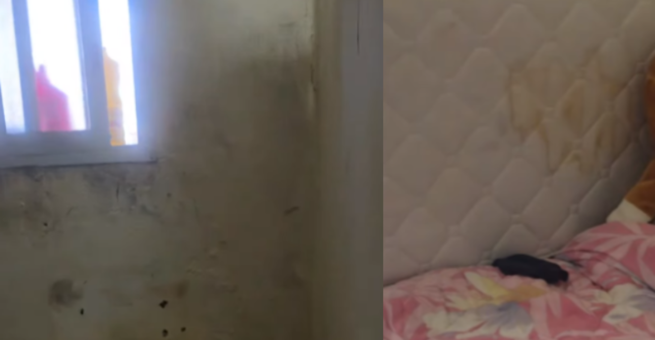 Βίντεο που συγκλονίζει: Οικογένεια στη Κύπρο με τέσσερα παιδιά ζει σε άθλιες συνθήκες – Εικόνες που αηδιάζουν