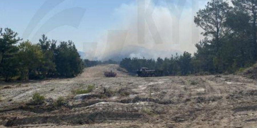 Υπό πλήρη έλεγχο δασική πυρκαγιά σε περιοχή της κοινότητας Λυμπιών