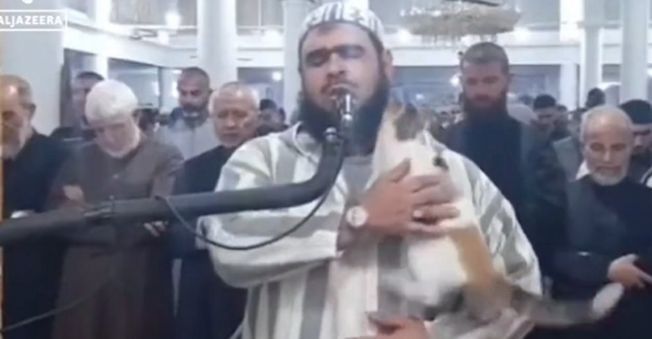 Γάτα στην Αλγερία σκαρφαλώνει σε Ιμάμη κατά τη διάρκεια προσευχής - Δείτε βίντεο 