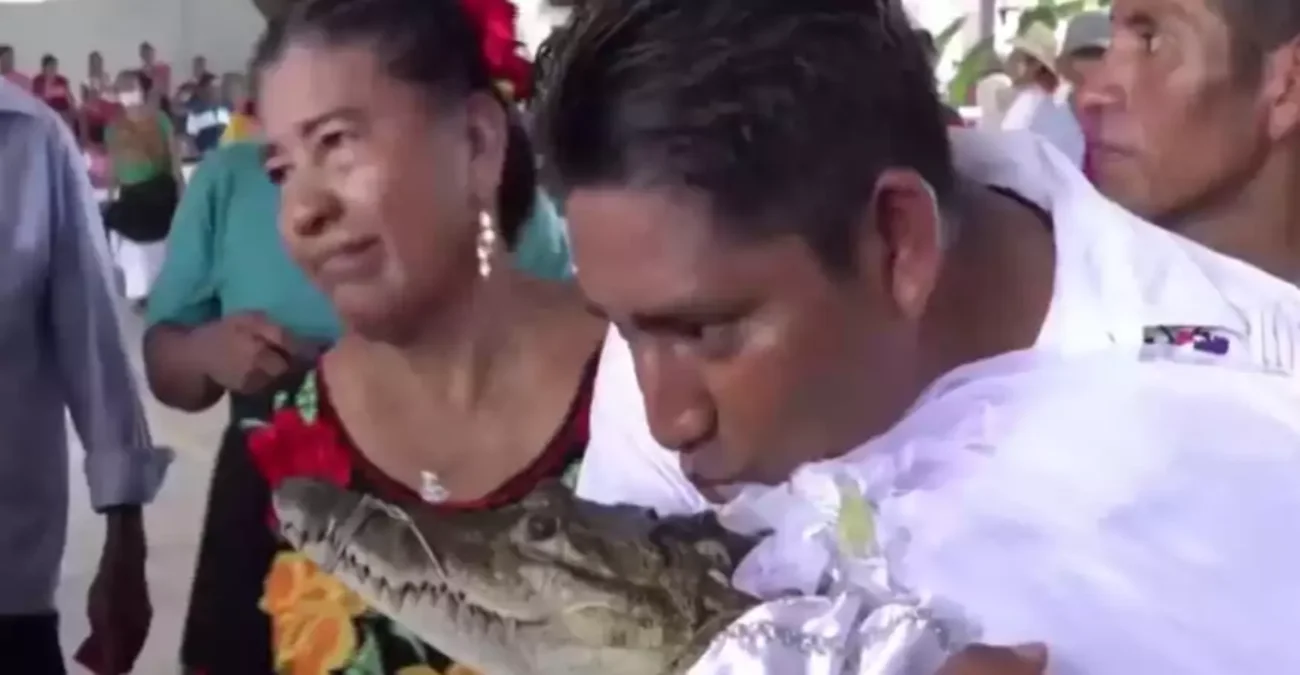 Δήμαρχος παντρεύτηκε... αλιγάτορα - Η αλλόκοτη παράδοση στο Μεξικό - Δείτε βίντεο