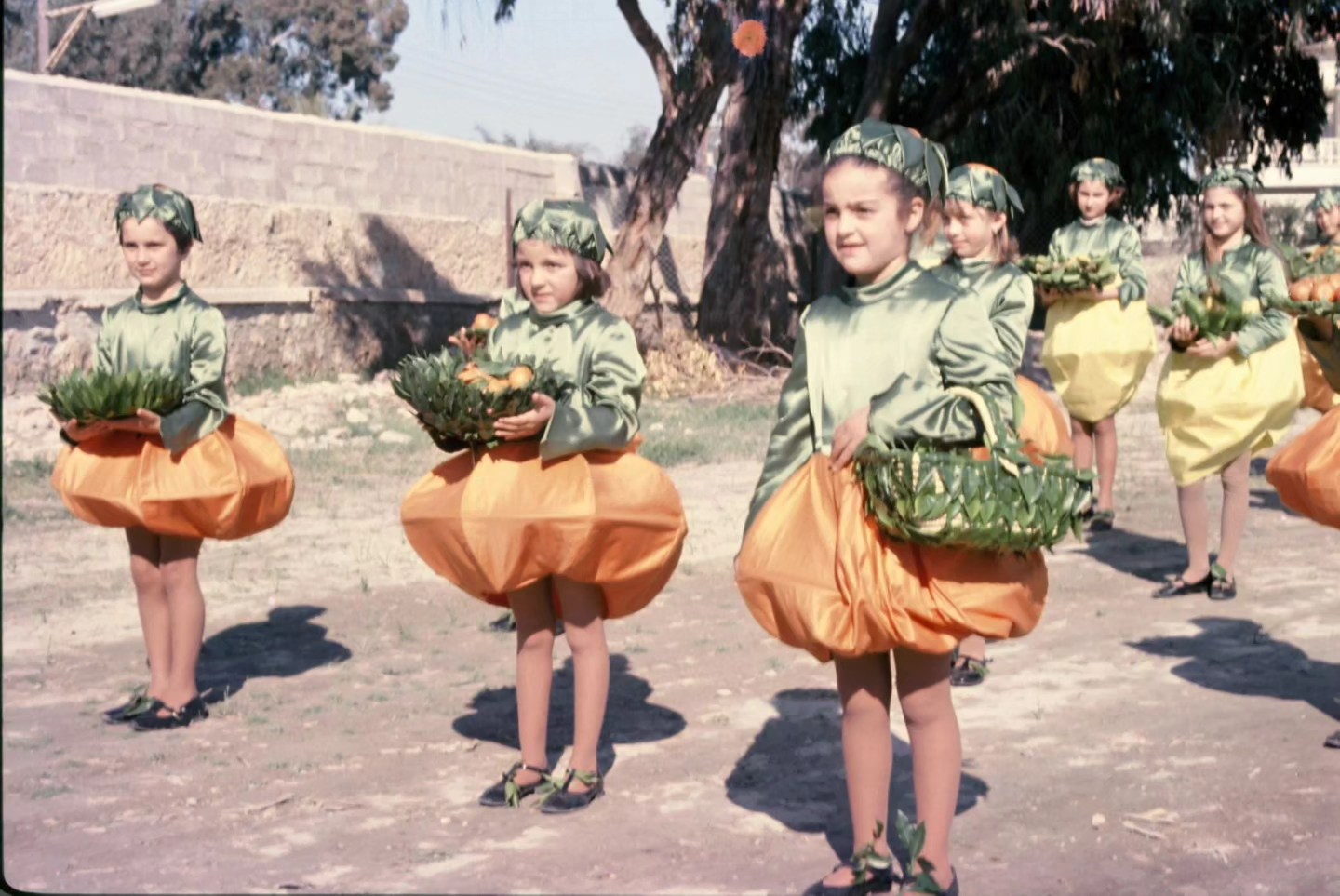 Ευκαιρία για εκδρομή: Μία μεγάλη γιορτή αναβιώνει στην Αγία Νάπα - Παρέλαση αρμάτων και πλούσιο καλλιτεχνικό πρόγραμμα