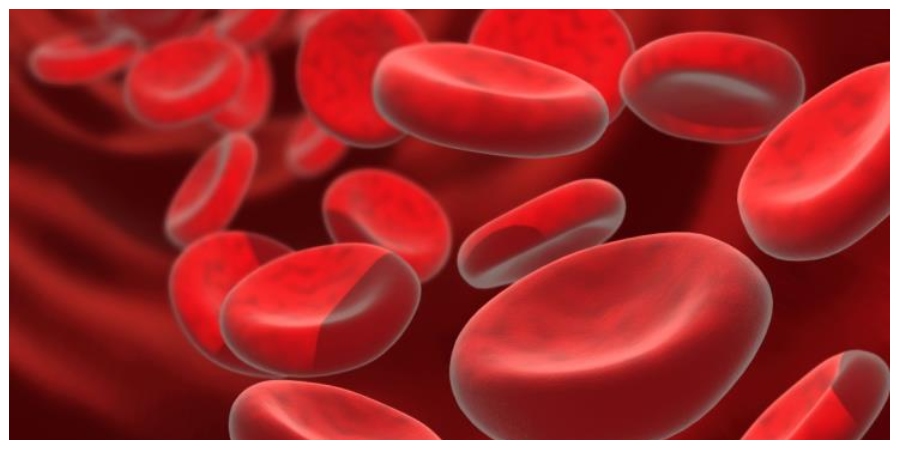 ΔΟΘ: Χρήσιμο ενημερωτικό υλικό για τον COVID-19 και τις Αιμοσφαιρινοπάθειες