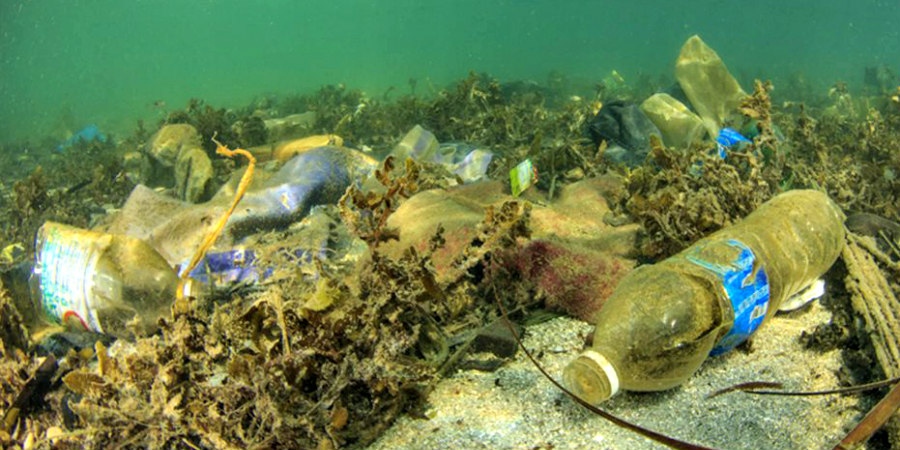 Συλλέχθηκαν 1470 κ. σκουπίδια από την παραλία και βυθό στις περιοχές Ψαρολίμανου και Μακένζη -VIDEO