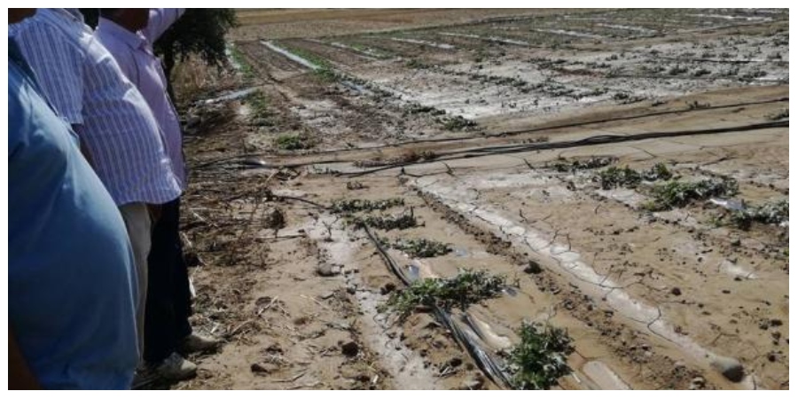 Αναστασιάδης: Αντιμετωπίζονται άμεσα οι ζημιές που υπέστησαν οι αγρότες
