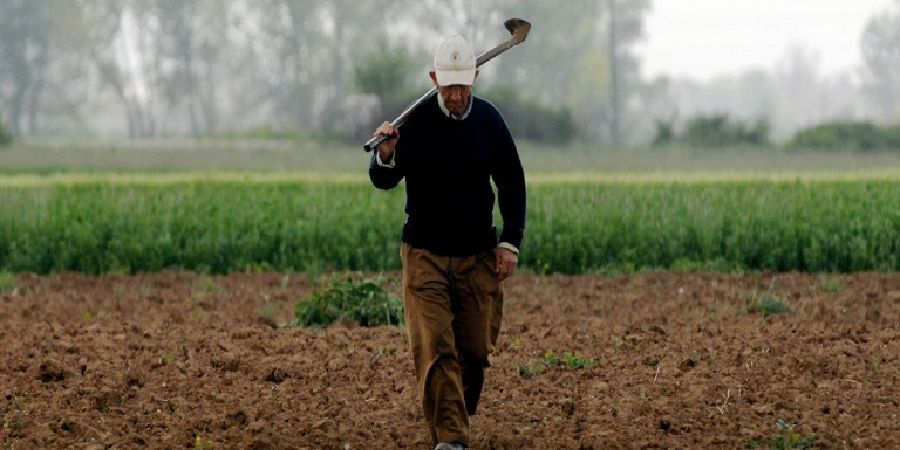 Ελλάδα: Ξέμειναν από εργάτες τα χωράφια - Εγκαταλείπουν τη χώρα αναζητώντας καλύτερα μεροκάματα