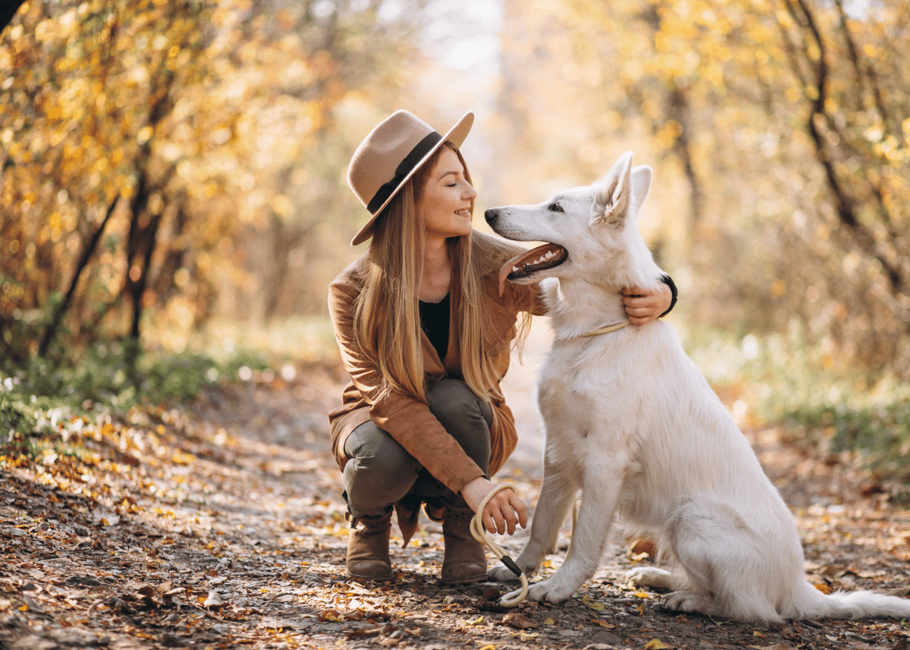 Η προσωπικότητα του σκύλου καθορίζεται από τη φυλή του; Κατά πόσο ισχύει