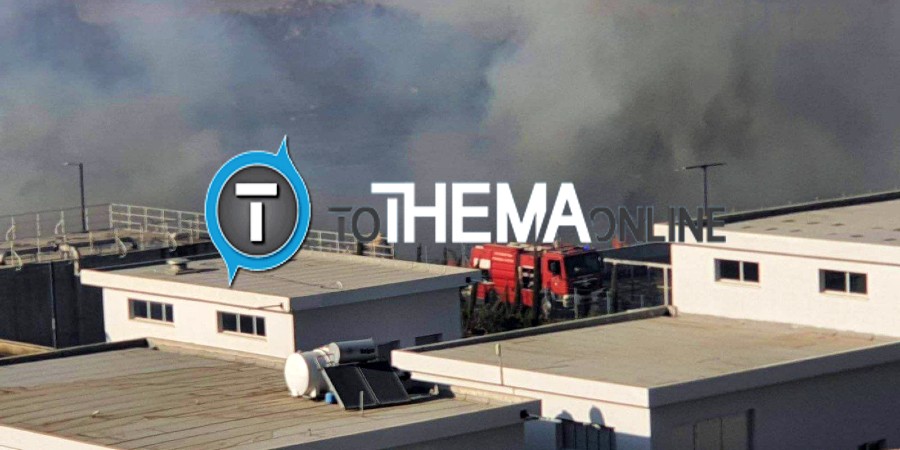 Πυρκαγιά στην Άλασσα: Επιχειρούν οι δυνάμεις πυρόσβεσης για τελική κατάσβεση - «Τέθηκε κακόβουλα»