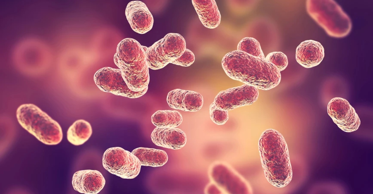 «Καμπανάκι» ΠΟΥ: Τα βακτήρια, στα οποία οφείλονται λοιμώξεις του αίματος, έγιναν πολύ ανθεκτικά στα φάρμακα το 2020 