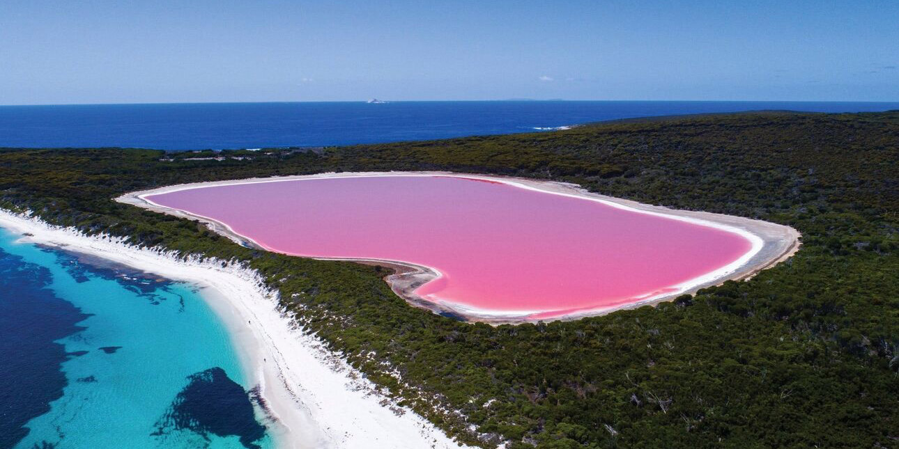 Το μυστήριο της ροζ λίμνης αποκαλύπτεται - Ένας «κρυμμένος» κόσμος - Δείτε φωτογραφίες 