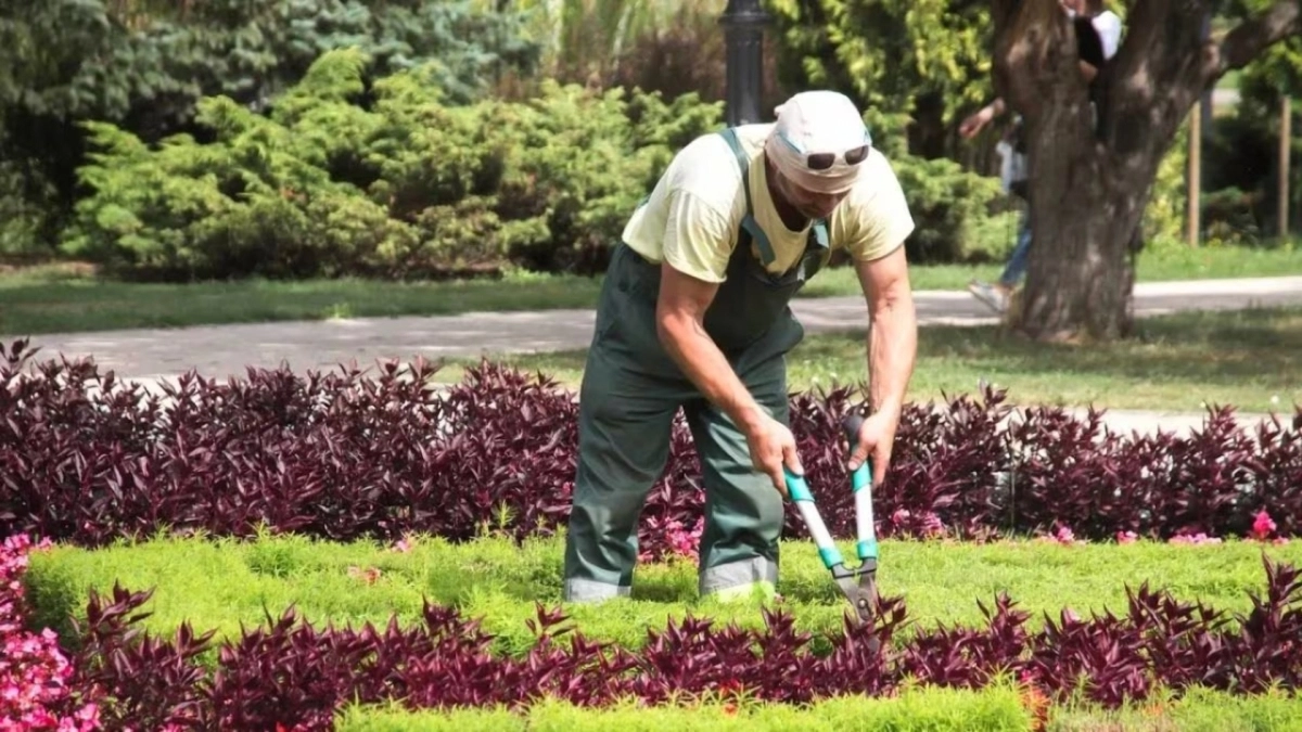 Κηπουρός κόβει το γρασίδι και βρίσκει… θησαυρό 30.000 ευρώ: Δέκα ράβδοι χρυσού κάτω από τα πόδια του
