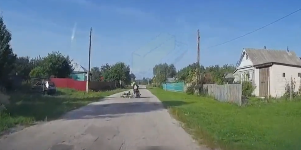 Μοτοσικλετίστρια συγκρούστηκε με κοπάδι από χήνες – VIDEO