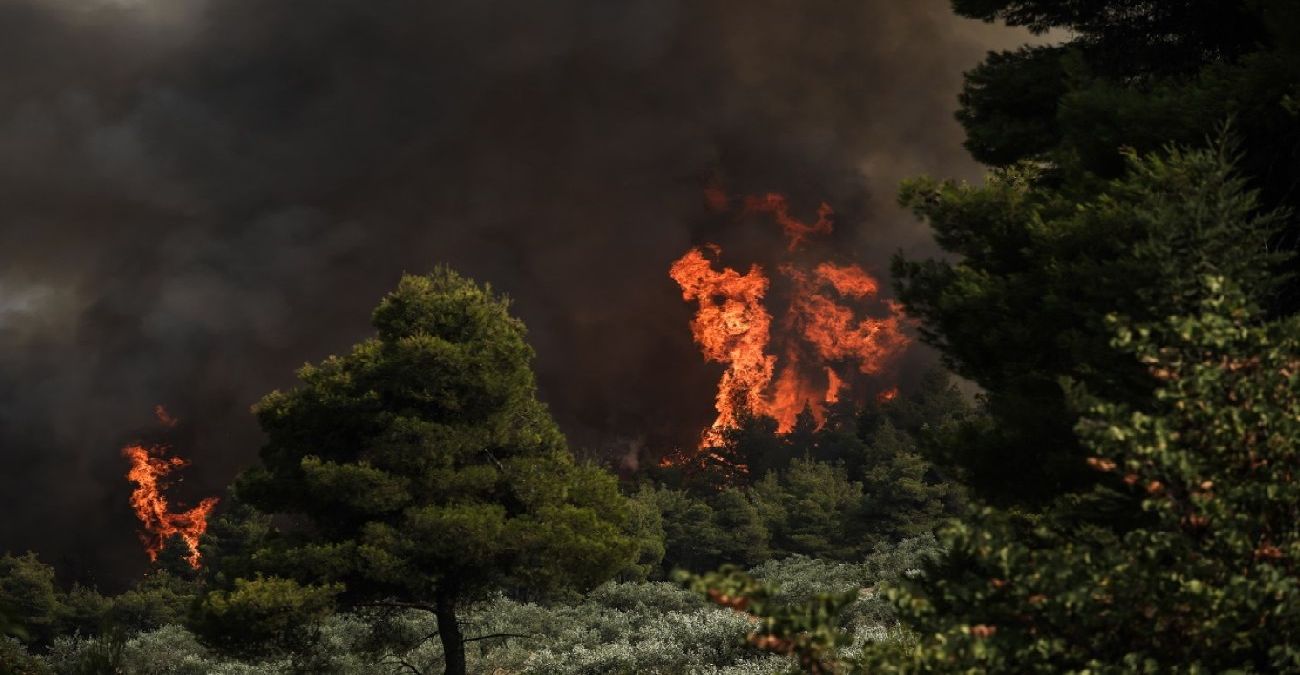 Ελλάδα: Οι 10 πιο ακραίες δασικές πυρκαγιές από το 2003 – Πόσα εκατομμύρια στρέμματα έκαψαν