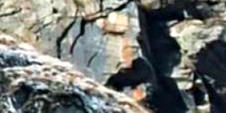 Απίστευτο βίντεο: Αετός σήκωσε στον αέρα κατσίκα και την πέταξε από τους βράχους των Άλπεων
