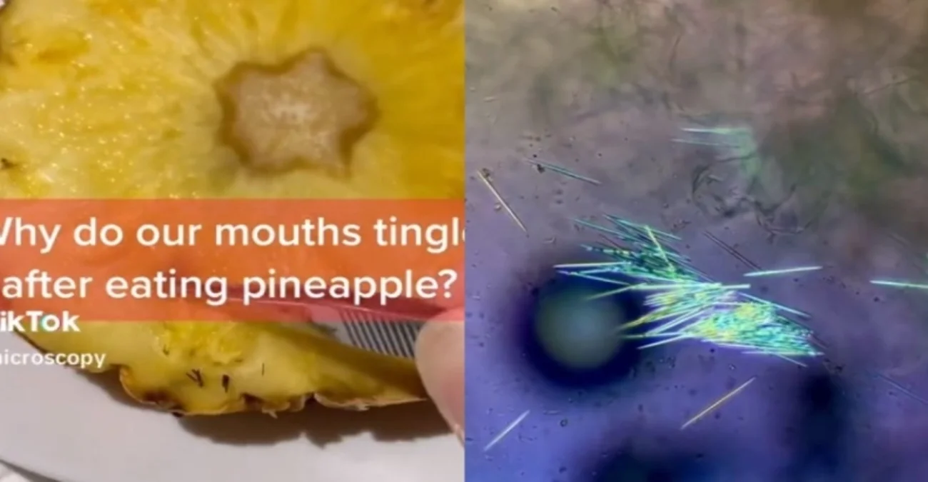 Απίθανη θεωρία για τον ανανά: «Δεν τον τρως, σε τρώει» - Βίντεο