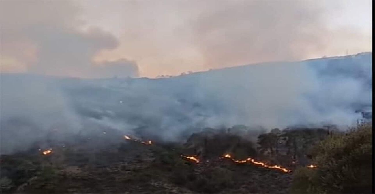 Ολονύχτια μάχη με τις φλόγες για δεύτερο βράδυ στη Λεμεσό - Υπό μερικό έλεγχο η πυρκαγιά