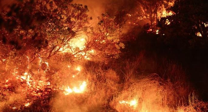 ΗΠΑ: Πρωτόγνωρες πυρκαγιές καταστρέφουν πόλεις στο Όρεγκον με την Κυβερνήτη της πολιτείας να κάνει λόγο για νεκρούς