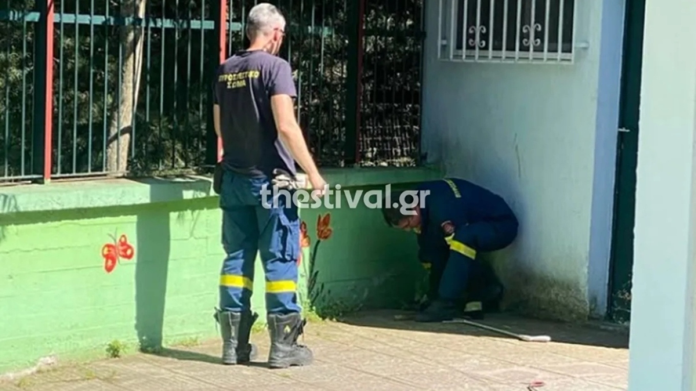 Αναστάτωση σε νηπιαγωγείο μετά την εμφάνιση φιδιών - «Φοβόμαστε να στείλουμε τα παιδιά μας σχολείο»