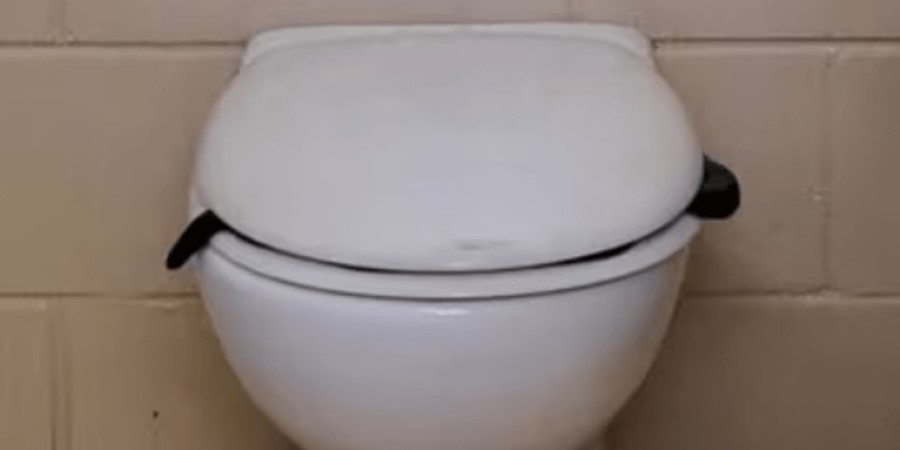 Τρομακτικό: Δηλητηριώδες φίδι βρέθηκε σε δημόσια τουαλέτα στην Αυστραλία - Δείτε βίντεο από την απομάκρυνσή του