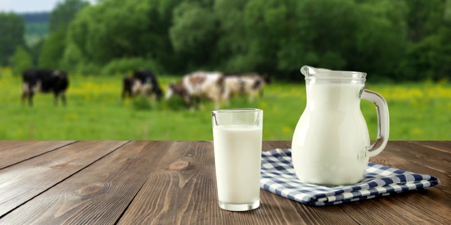 Φωνάζουν οι καταναλωτές για την τιμή του γάλακτος - Ζητούν να καθοριστεί πλαφόν