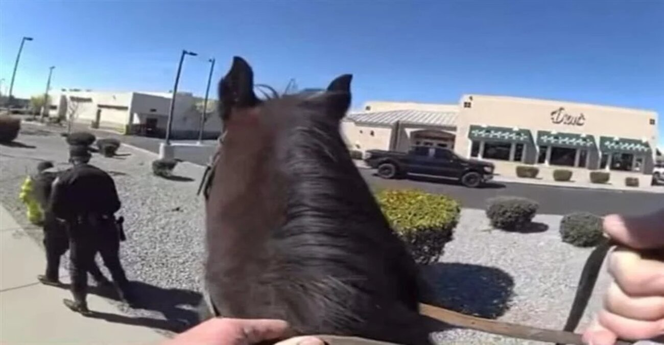 ΗΠΑ: Αστυνομικός καταδιώκει κλέφτη πάνω σε... άλογο - Δείτε το viral βίντεο