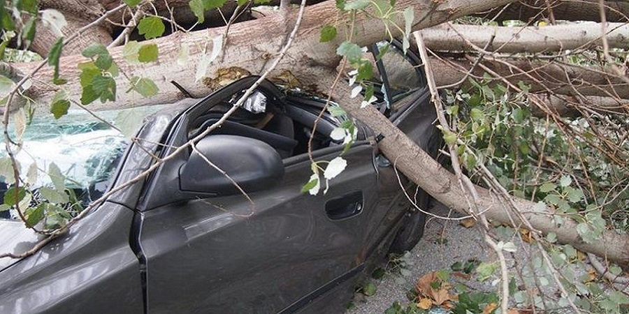 ΠΑΦΟΣ: Έπεσαν δέντρα και τσίγκοι - Καταπλακώθηκε όχημα