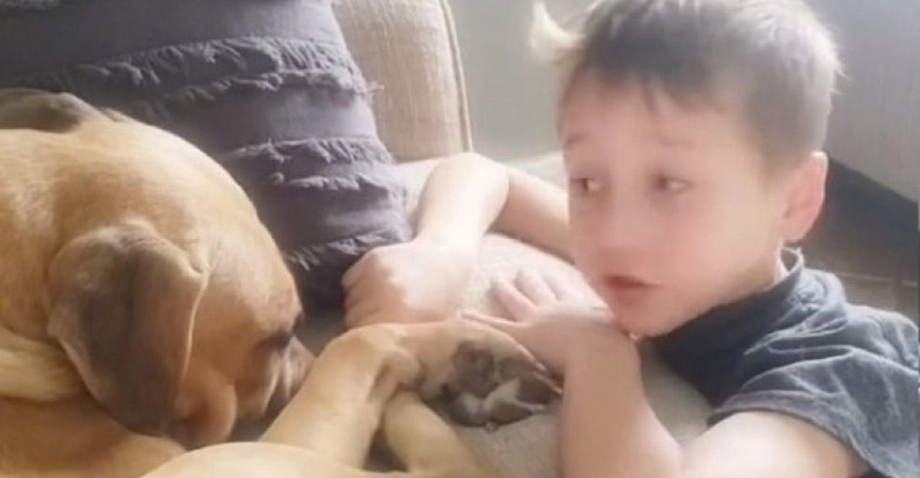 Ένας 7χρονος παρηγόρησε τον κακοποιημένο σκύλο που μόλις υιοθέτησε και έγινε viral: «Θα σε αγαπάμε»