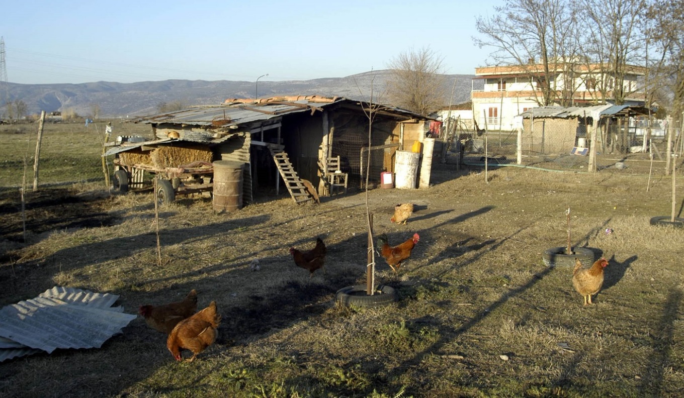 Συνταξιούχος στον Βόλο ζει σε κοτέτσι για να μην έχει επαφή με σύζυγο και κόρη, τις απείλησε «θα σας θάψω»