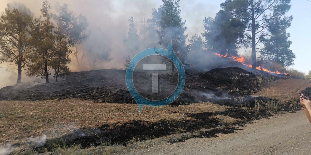  Πυρκαγιά σε δασώδη περιοχή στον Μαθιάτη - Φωτογραφίες