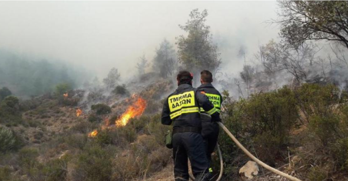 Πυρκαγιά στην επ. Λεμεσού έθεσε σε κινητοποίηση τις δυνάμεις πυρόσβεσης - Η πιθανή αιτία πρόκλησης της