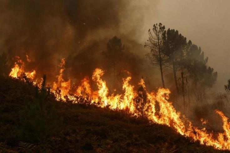 Τέθηκε υπό έλεγχο πυρκαγιά εντός του Κρατικού Δάσους Λυθροδόντα
