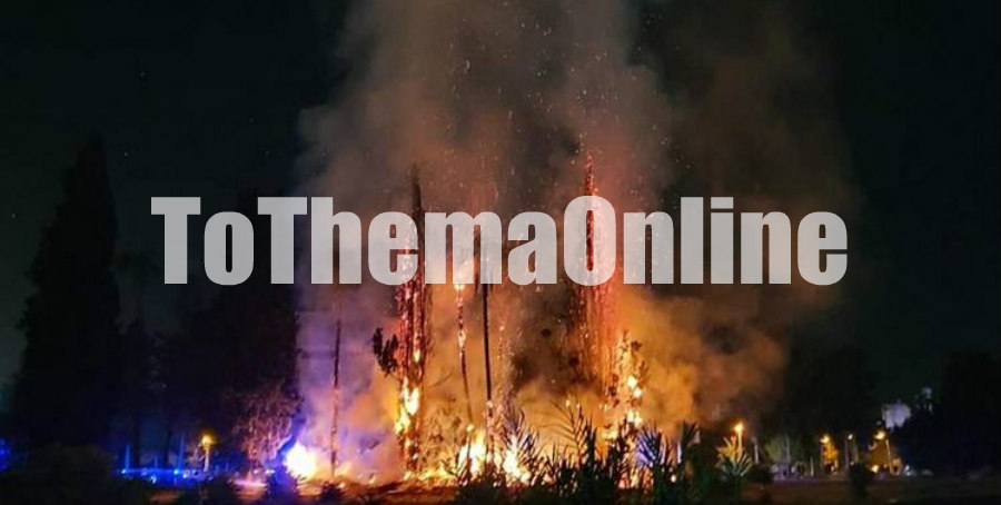 ΛΕΜΕΣΟΣ: Ξέσπασε φωτιά δίπλα από το κλειστό γήπεδο της ΑΕΛ- Έσπευσε η Πυροσβεστική- ΦΩΤΟΓΡΑΦΙΕΣ