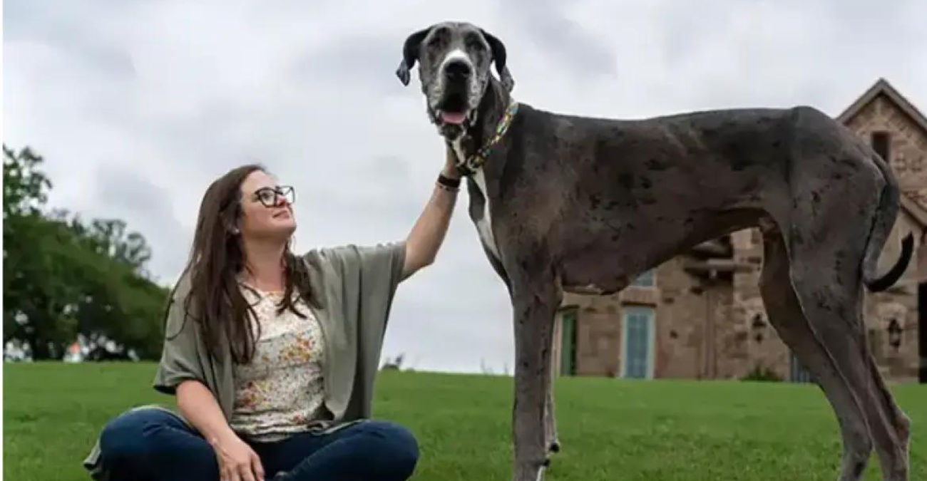 Πέθανε το ψηλότερο σκυλί του κόσμου - Η θεραπεία δεν το έσωσε