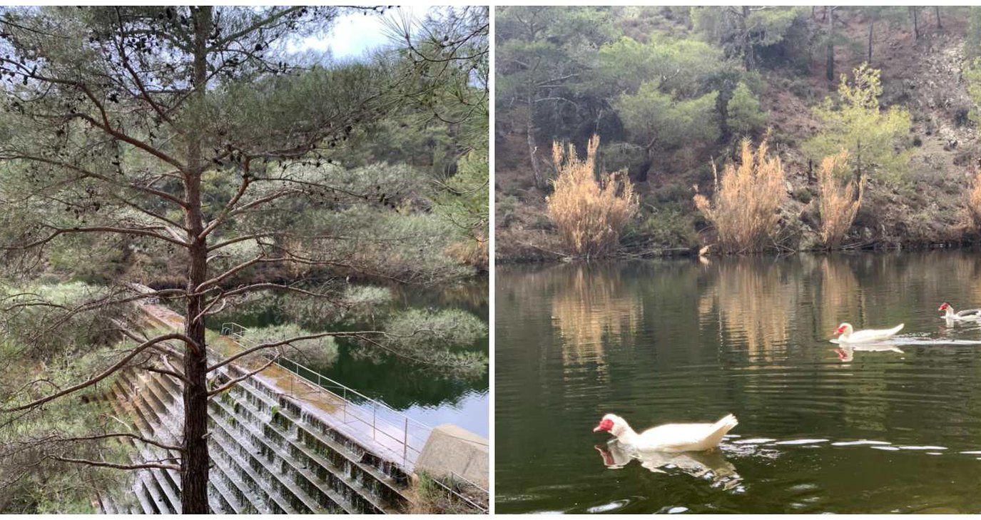 Εντυπωσιακές εικόνες από το φράγμα στο Πέρα Πεδί - Υπερχείλισε μετά από τις βροχές των τελευταίων ωρών - Δείτε βίντεο