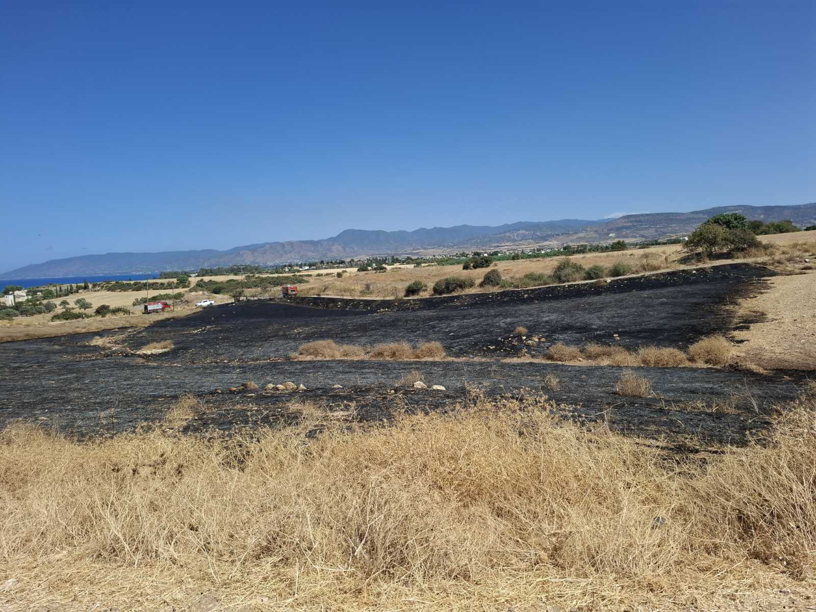 Πρόλαβαν τα χειρότερα στην Πάφο: Οροθετήθηκε η πυρκαγιά - Προστατεύθηκαν κατοικίες