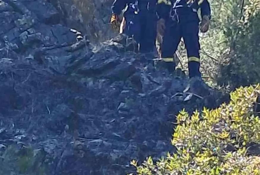 Τραγωδία στην Εύβοια: Πυροσβέστες έσβηναν φωτιά σε χωράφι και βρήκαν απανθρακωμένο πτώμα - Τι εξετάζουν οι Αρχές