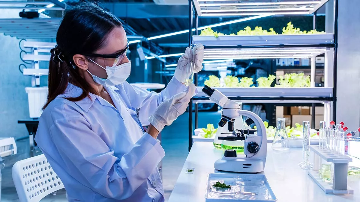 Ένας καθηγητής παρουσιάζει 10 τοξικά φυτά με θεραπευτική δράση