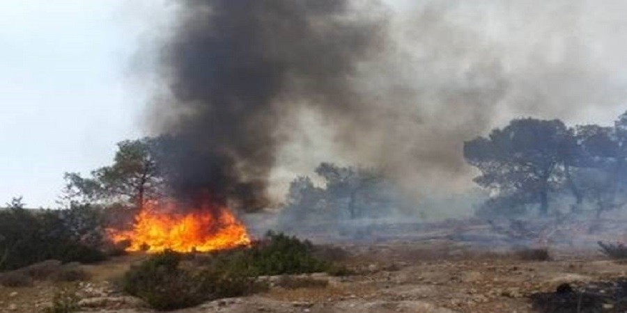ΠΑΦΟΣ: Νέα πυρκαγιά σε δύσβατη περιοχή - Στη μάχη και εναέρια μέσα