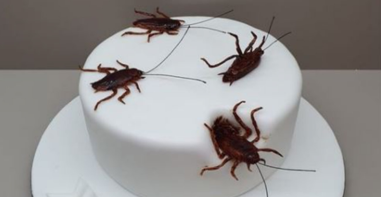 Ζαχαροπλάστης στην Κόρινθο κάνει θραύση - «Τούρτα με γέμιση κατσαρίδες»