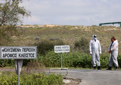 Χάος στο Παλιομέτοχο: Έντασεις και μπλόκο για τη μεταφορά θανατωμένων ζώων - «Περιπαίζετε τον κόσμο»