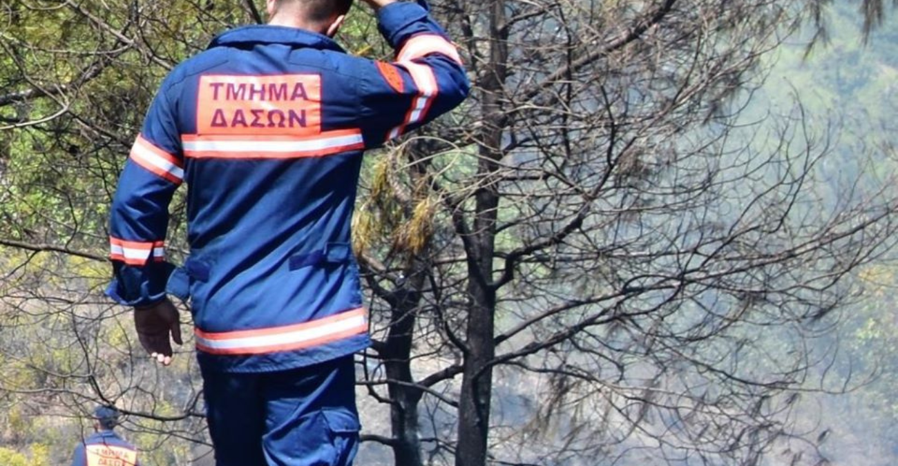 Συναγερμός στη Σιά από πυρκαγιά – Πρόλαβαν τα χειρότερα οι δυνάμεις πυρόσβεσης
