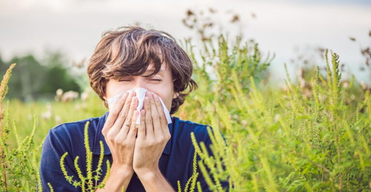 Αλλεργίες: Επτά τρόποι να αντιμετωπίσουμε τα συμπτώματα χωρίς φάρμακα