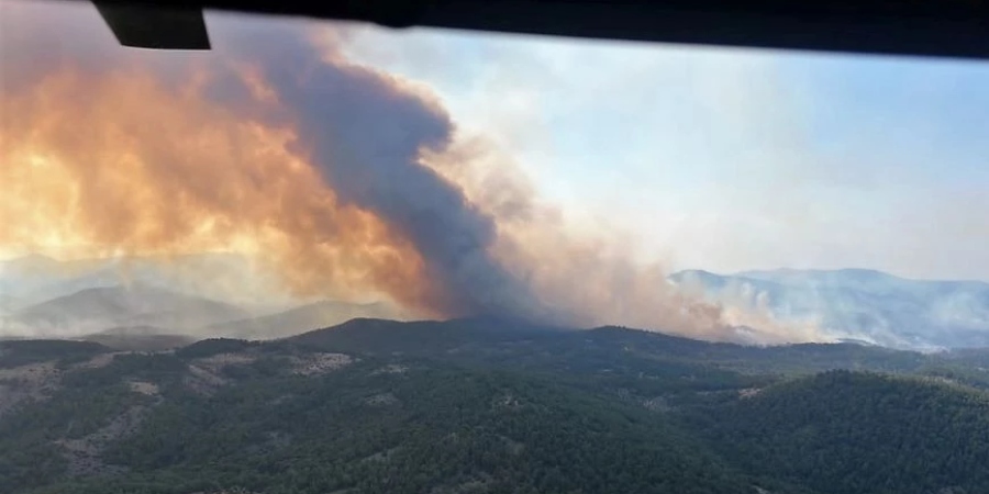 Φωτιά στον Έβρο: Μάχη με τις φλόγες για τέταρτη μέρα – Εκκενώθηκε το χωριό Δαδιά