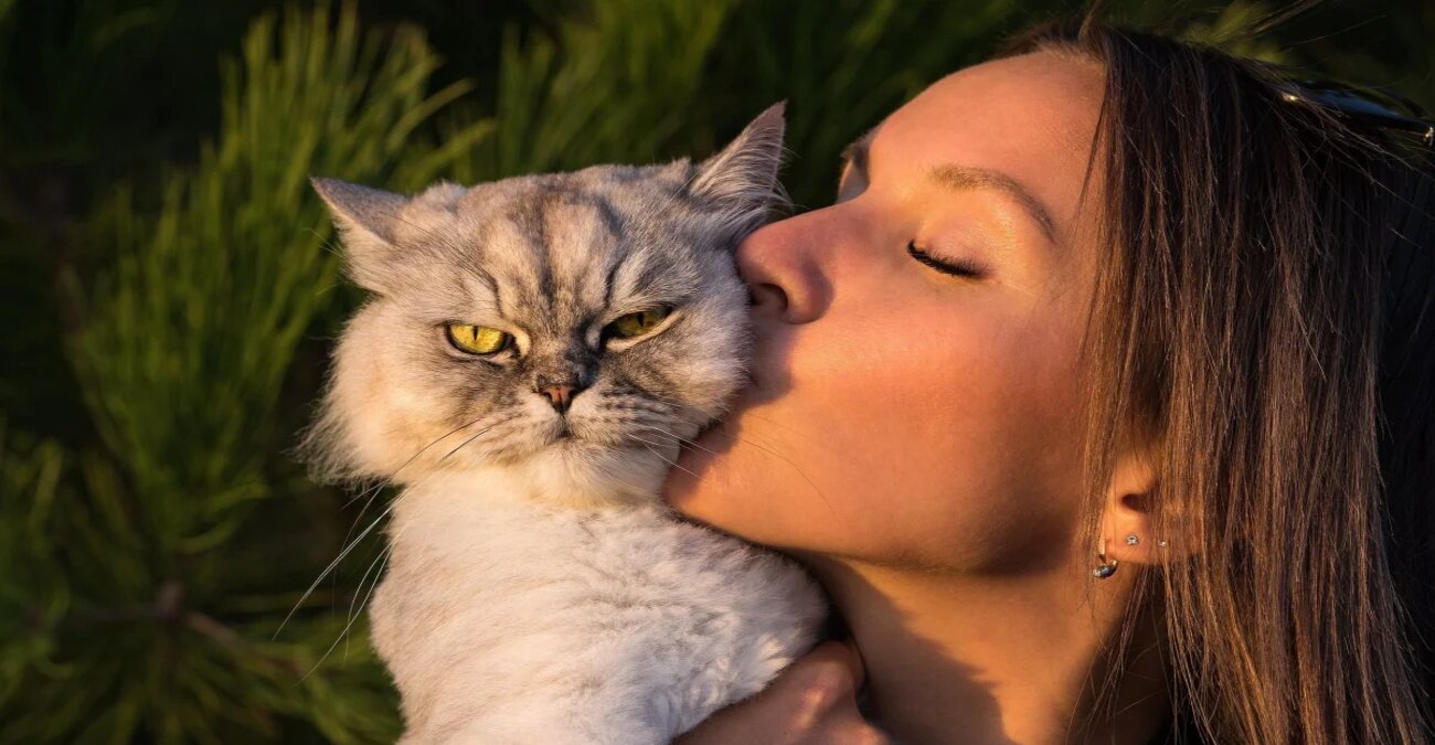 Πιο συχνή η σχιζοφρένεια σε άτομα που έχουν... γάτες - Ποιος ο λόγος