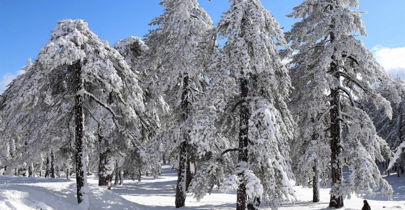 Εικόνες που μοιάζουν ψεύτικες: Η μαγική ανατολή ηλίου στο χιονισμένο Τρόοδος