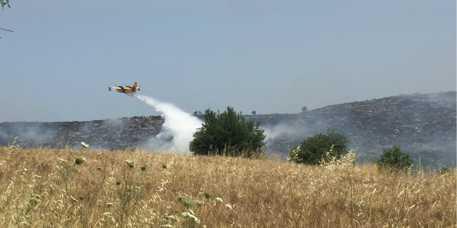 ΠΑΡΑΛΙΜΝΙ: Πυρκαγιά κοντά σε κατοικίες – Στη σκηνή και ελικόπτερο